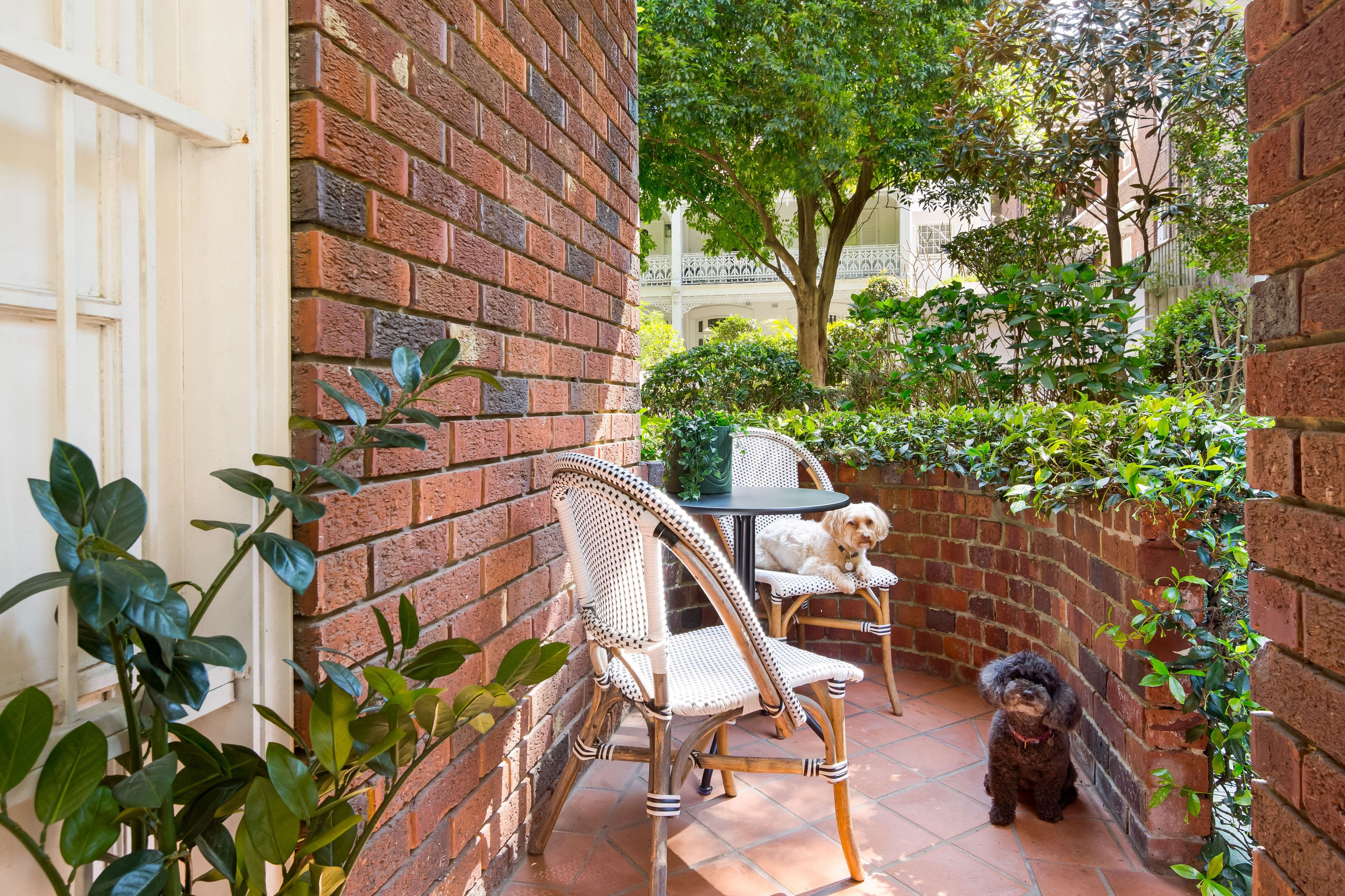 2 Marathon Road, Darling Point NSW 2027, Darling Point - Thumbnail 5