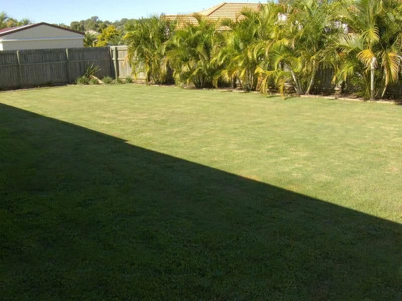 24 Blueash Court, OXENFORD QLD 4210, Oxenford - Thumbnail 2