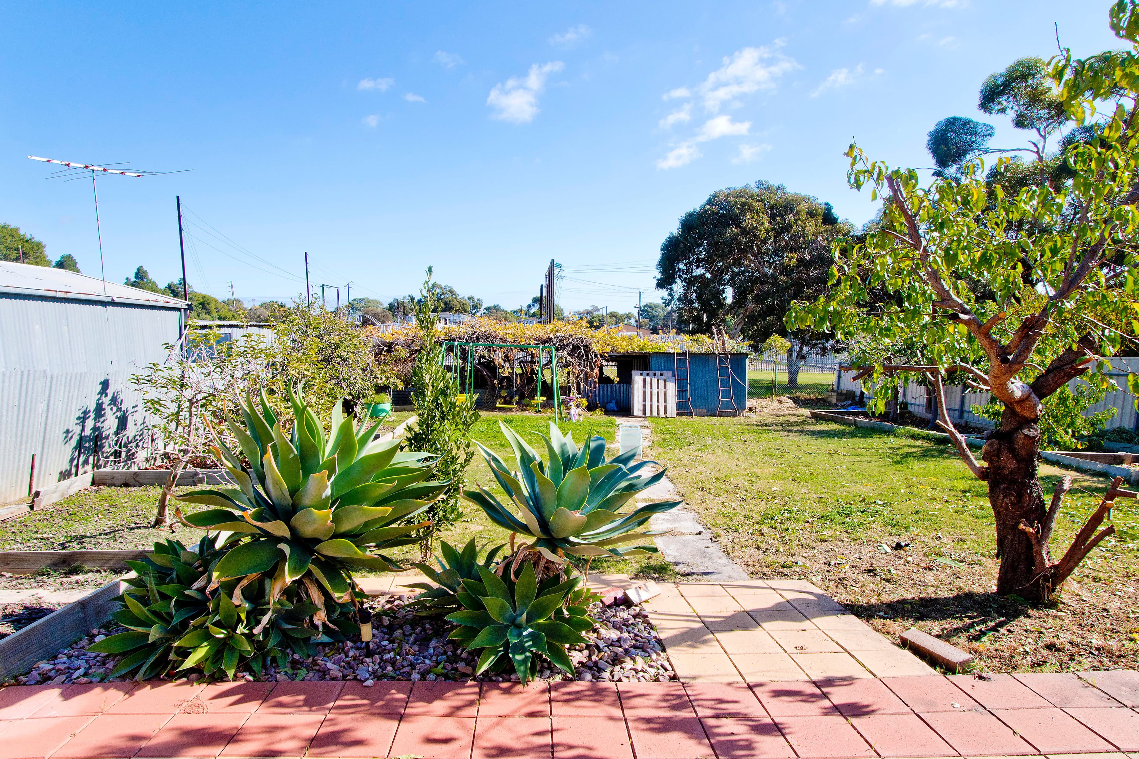 18 Ontario Avenue, Panorama SA 5041, Panorama - Thumbnail 8