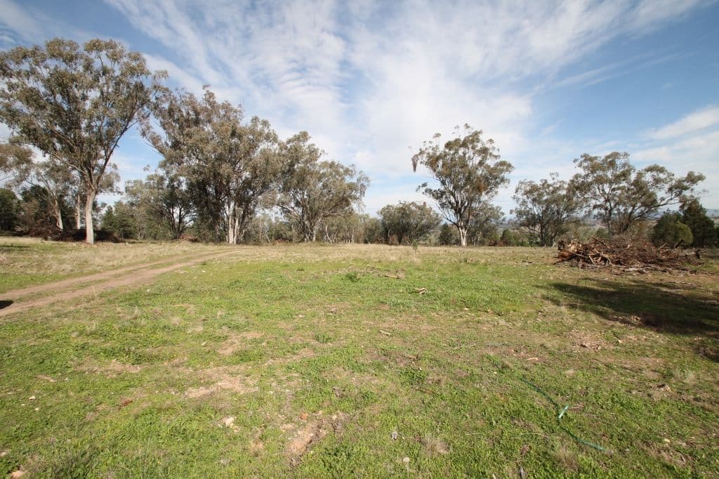 Lot 16 Ray Carter Drive, Quirindi NSW 2343, Quirindi - Image 1