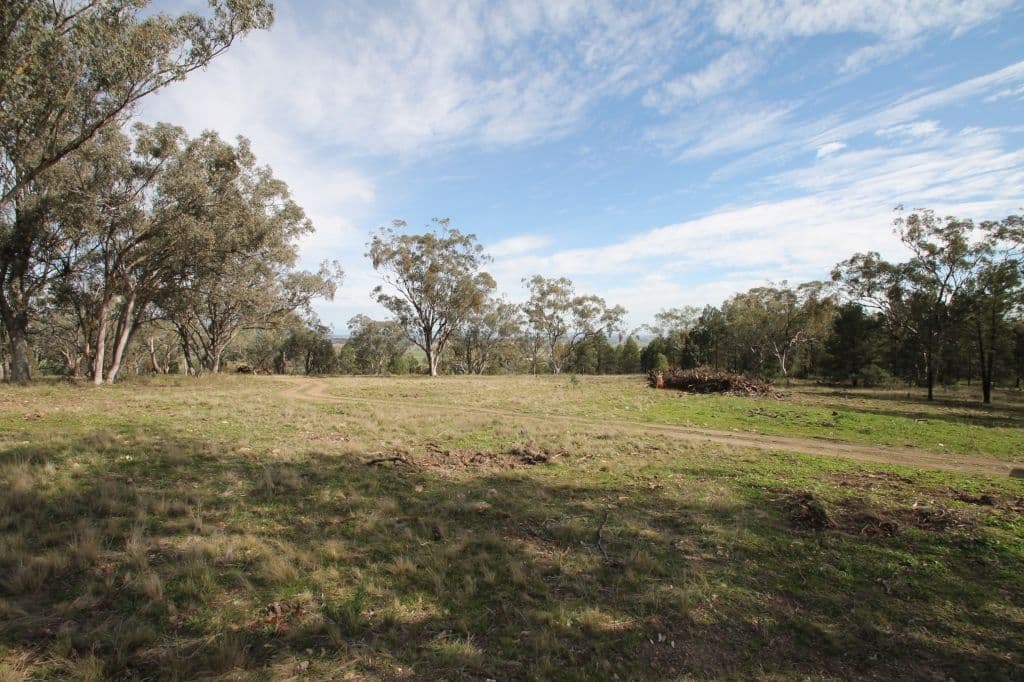Lot 16 Ray Carter Drive, Quirindi NSW 2343, Quirindi - Thumbnail 3