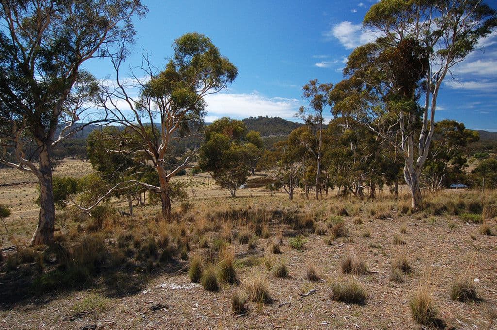 469 Neils Creek Road, Bungendore NSW 2621, Bungendore - Image 1