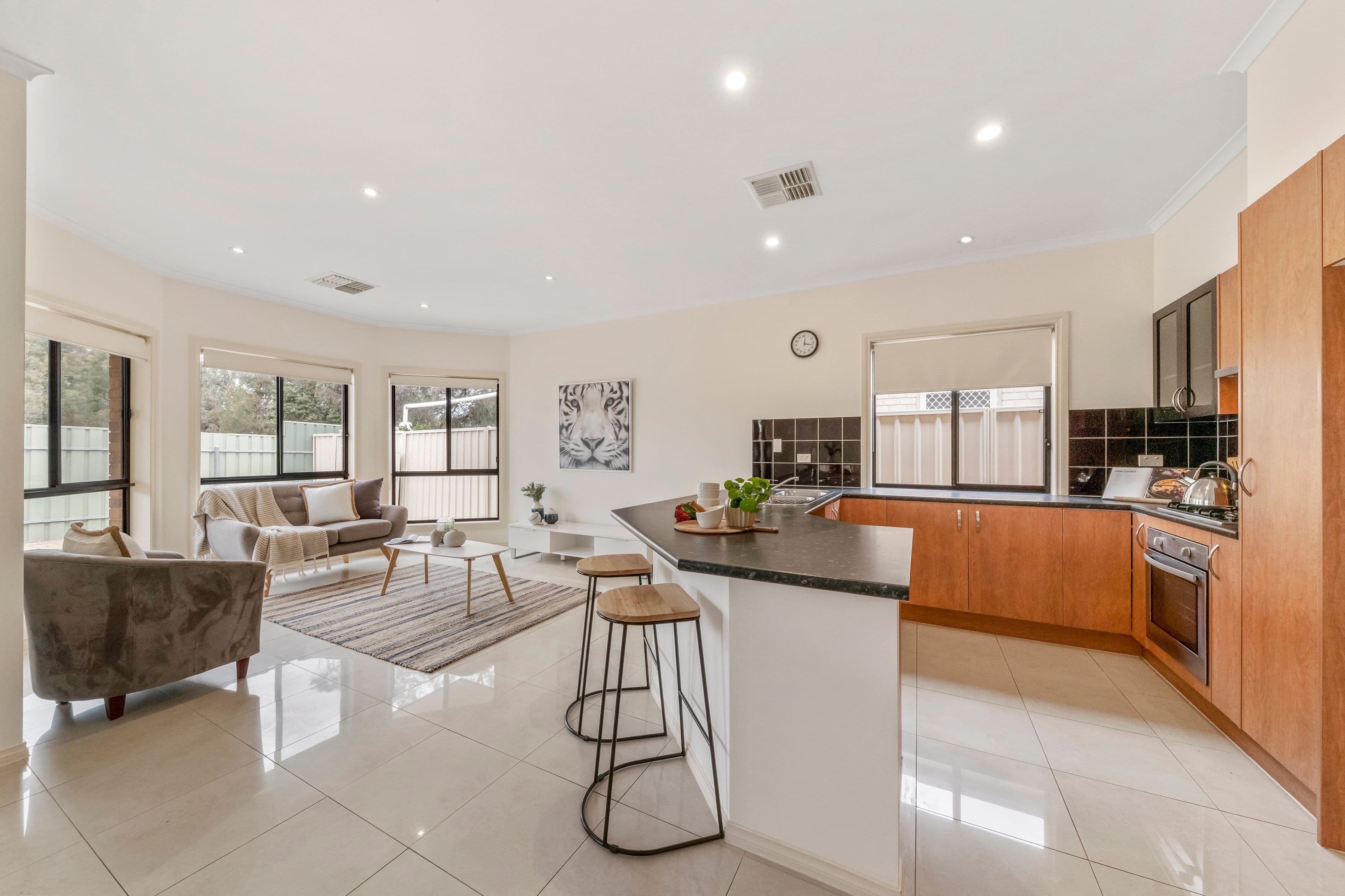 3 Wootten Street, Greenacres SA 5086, Greenacres - Thumbnail 4
