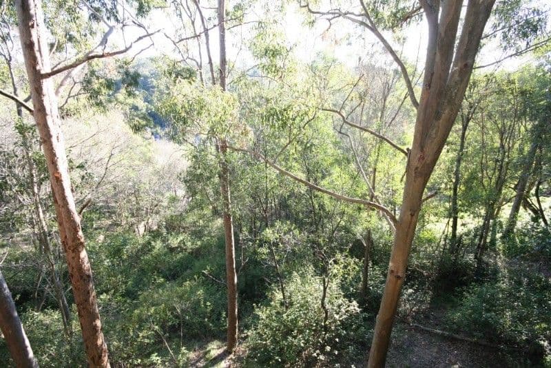 113 Plantain  Road, SHAILER PARK QLD 4128, Shailer Park - Thumbnail 4