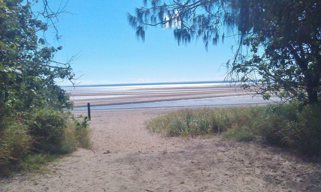 24 Petersen Road, Craignish QLD 4655, Craignish - Thumbnail 5