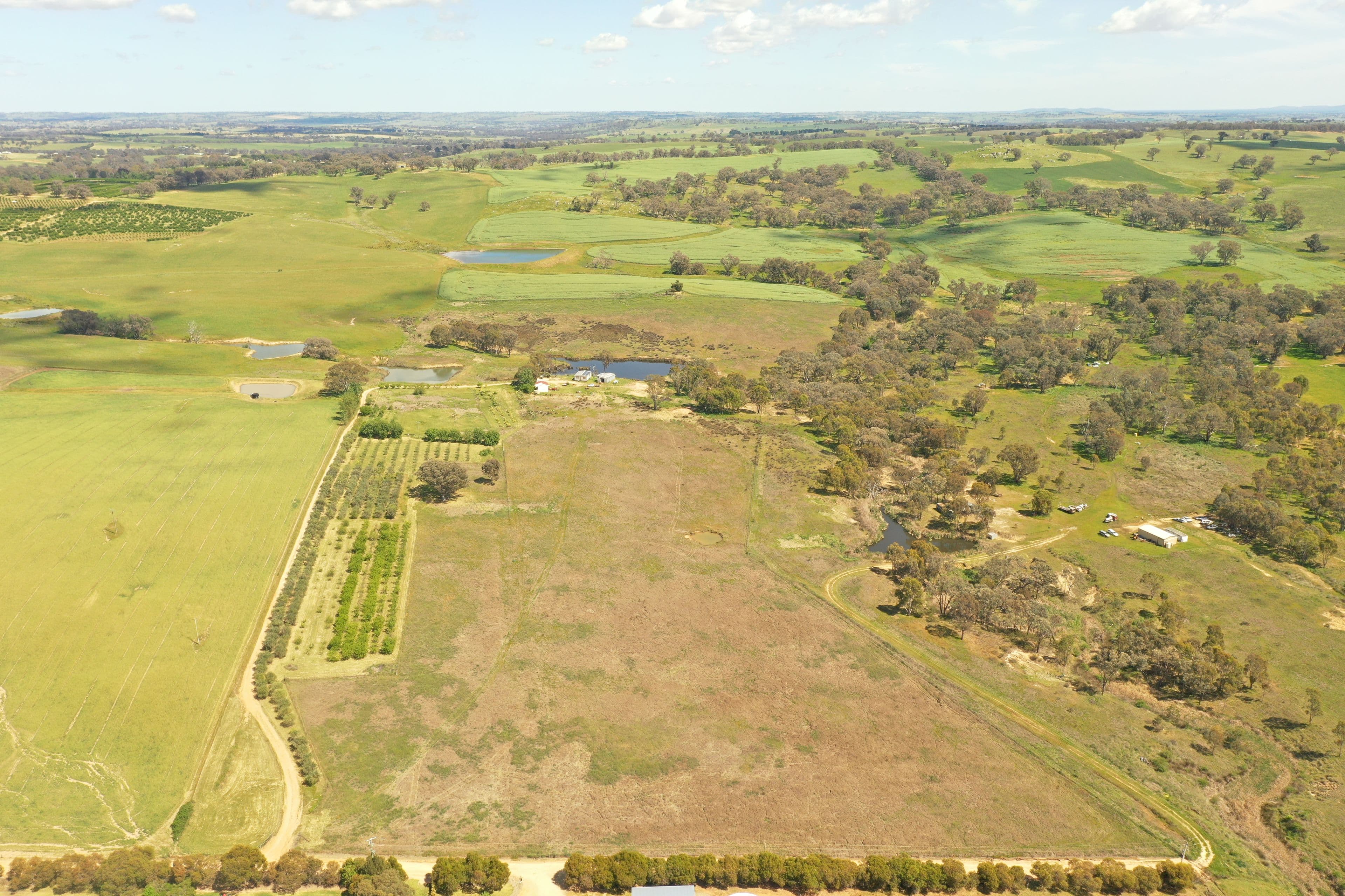 77 Kabardin Lane, Young NSW 2594, Young - Thumbnail 2