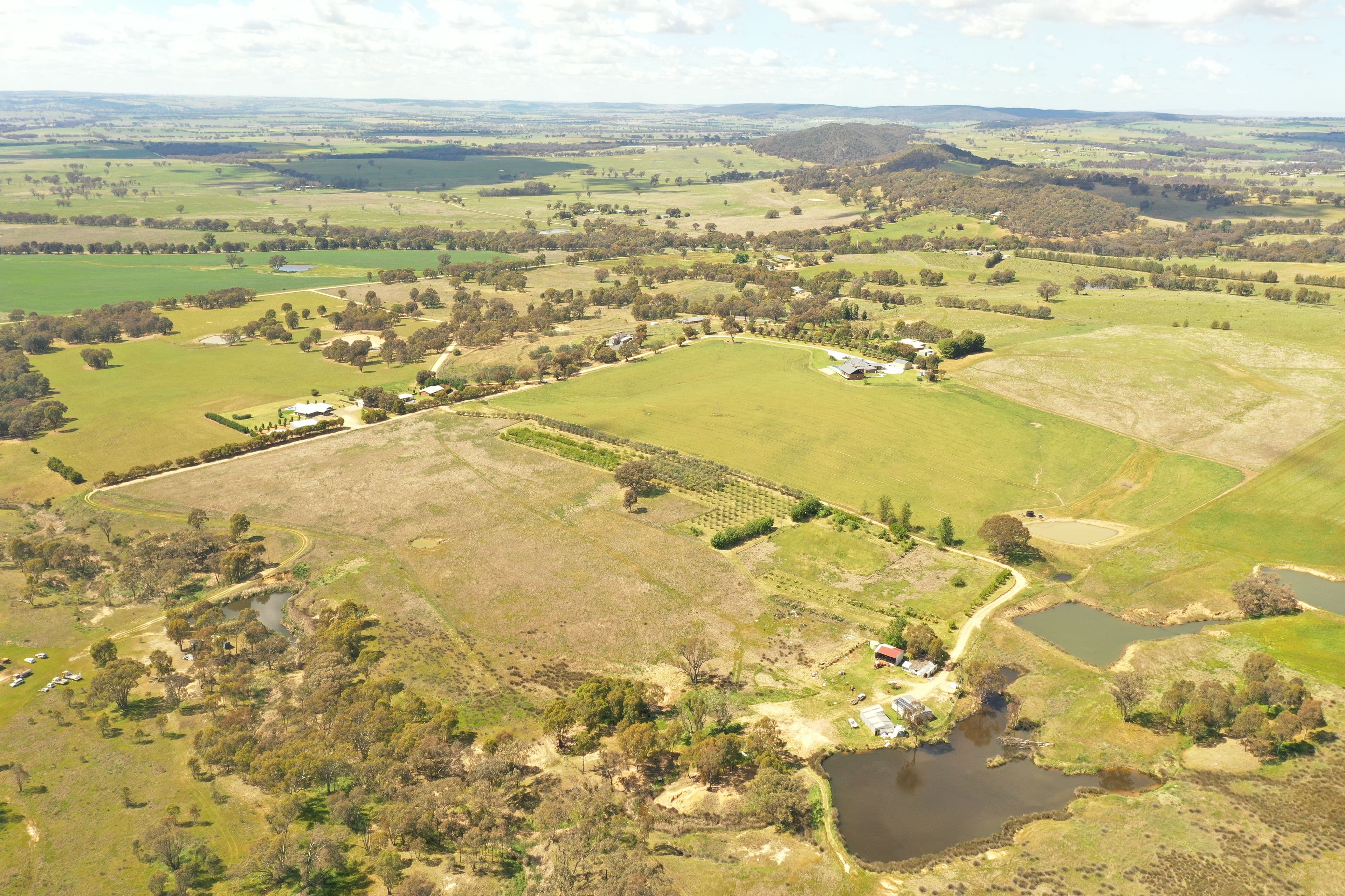 77 Kabardin Lane, Young NSW 2594, Young - Thumbnail 3