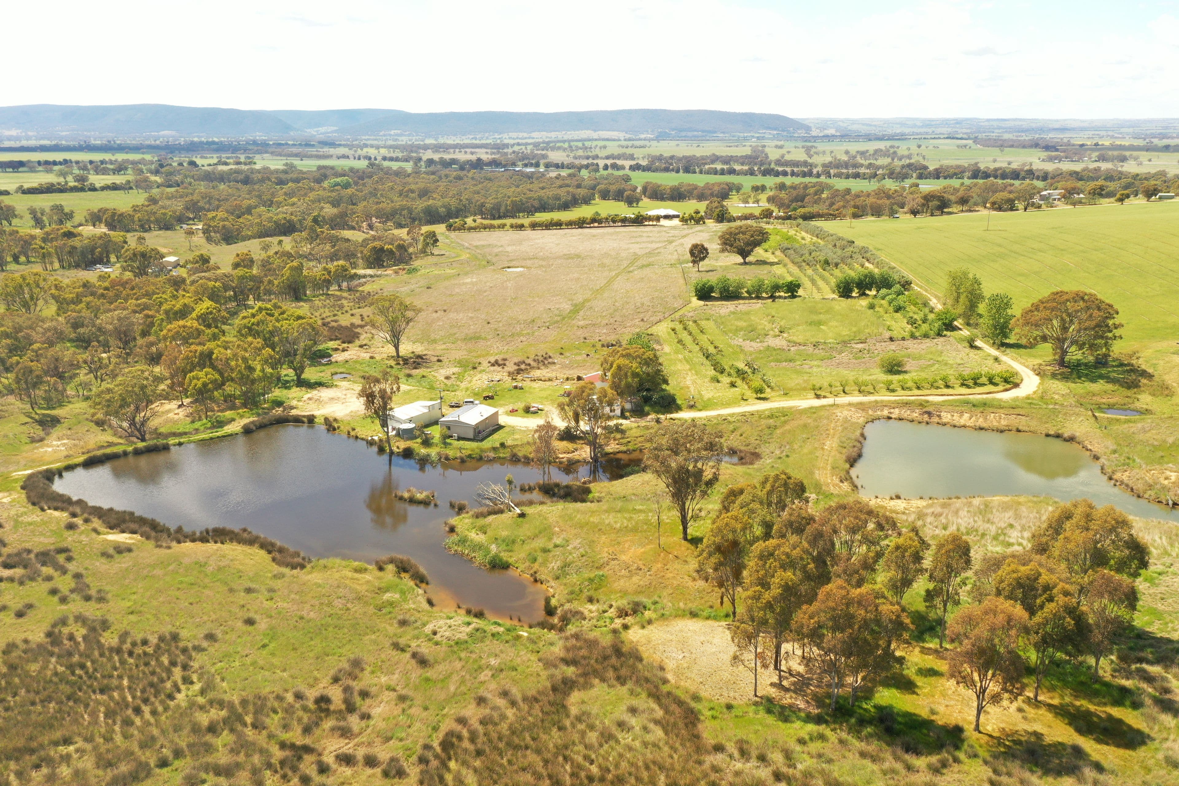 77 Kabardin Lane, Young NSW 2594, Young - Thumbnail 7