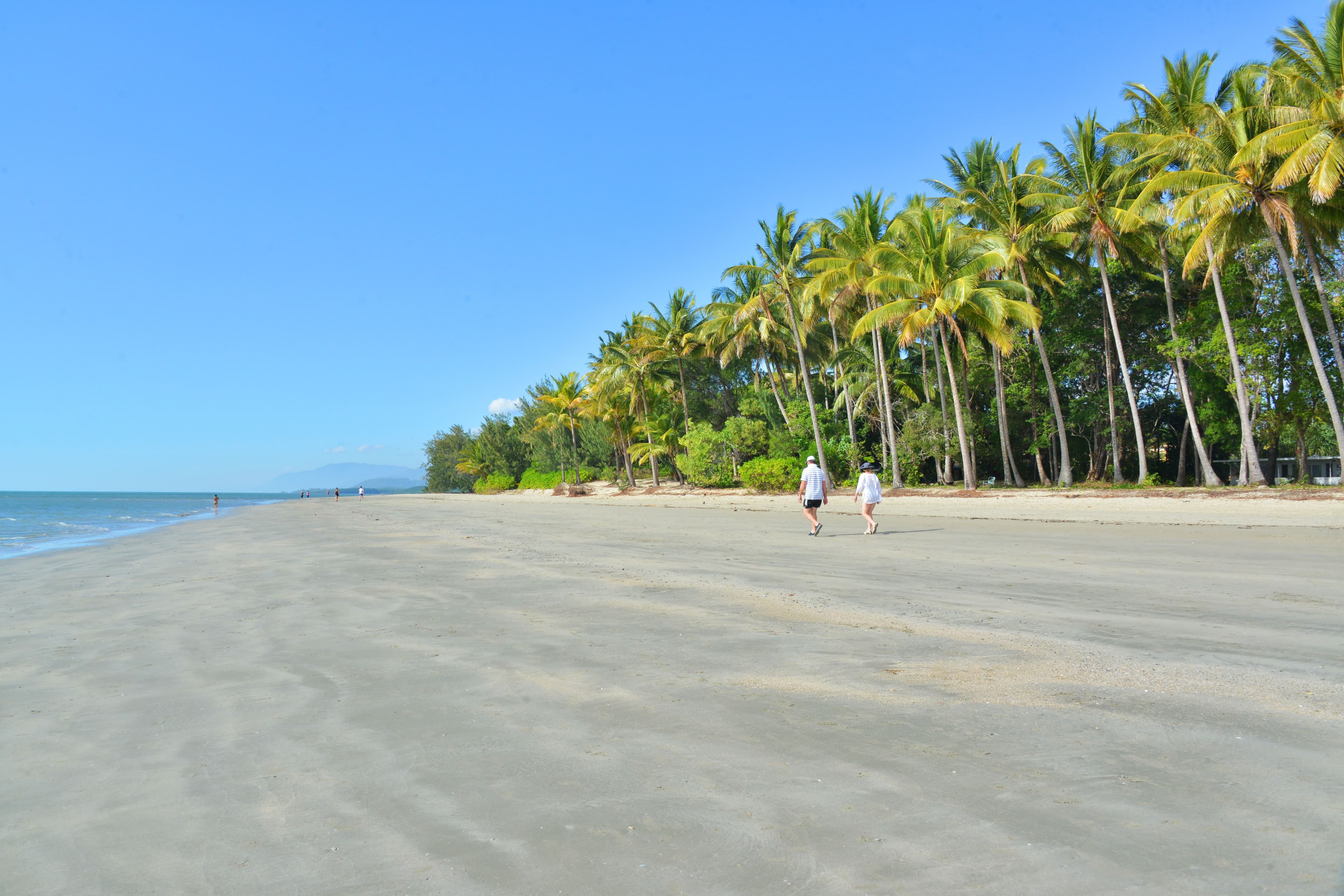 1 Cowrie Street, Port Douglas QLD 4877, Port Douglas - Thumbnail 4