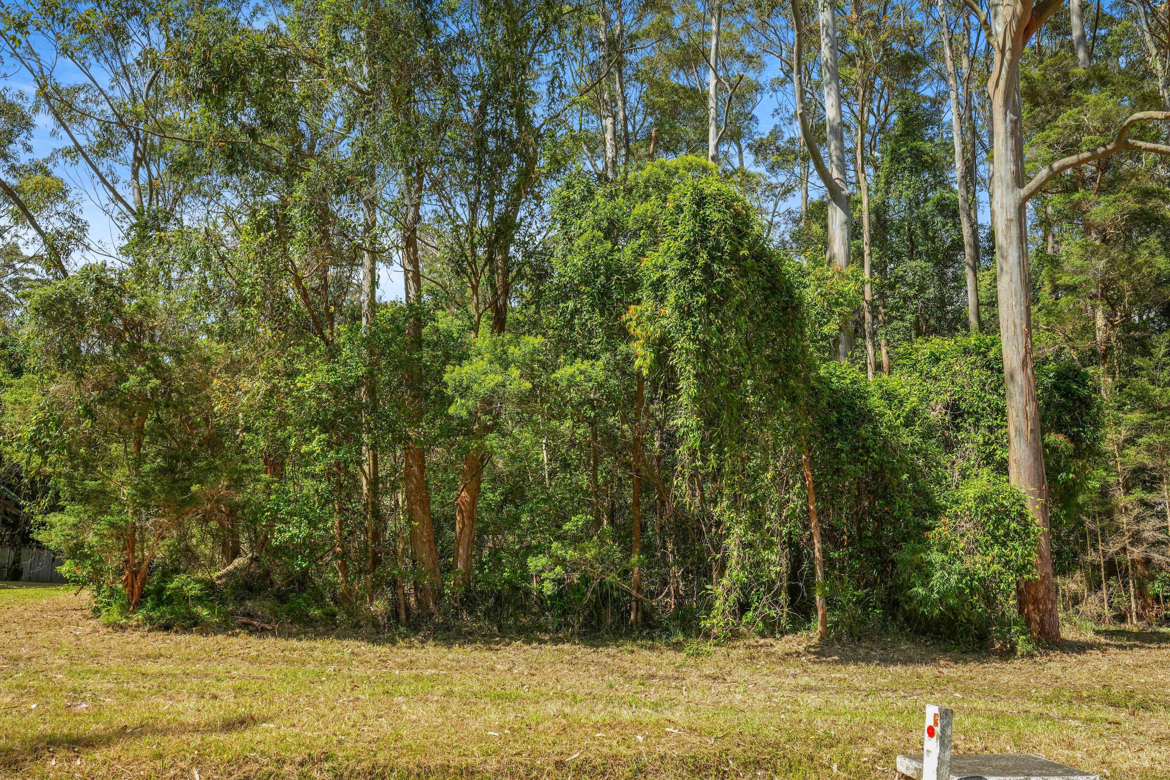 82 Yarram Road, Bensville NSW 2251, Bensville - Thumbnail 4