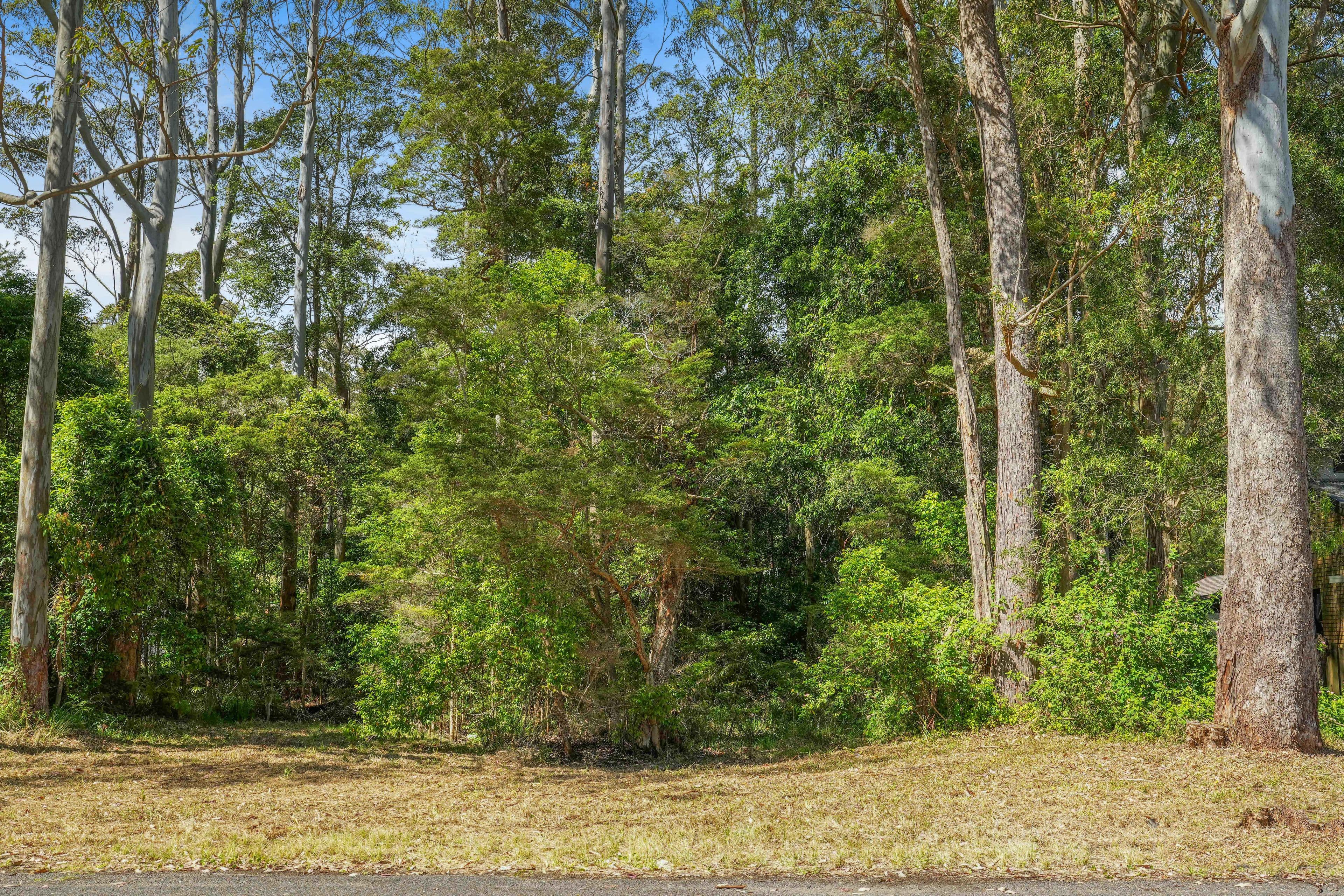 82 Yarram Road, Bensville NSW 2251, Bensville - Thumbnail 5