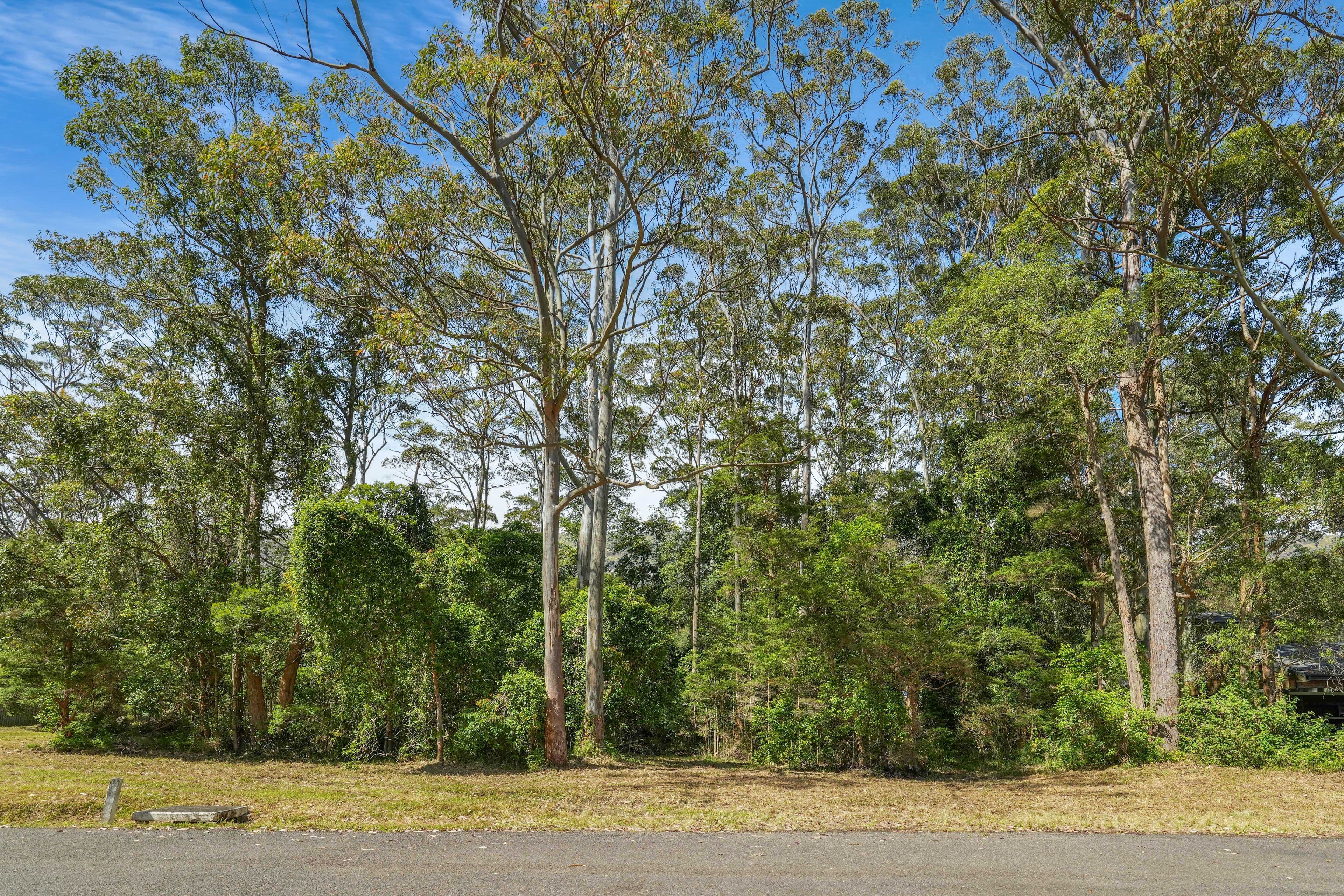82 Yarram Road, Bensville NSW 2251, Bensville - Thumbnail 7