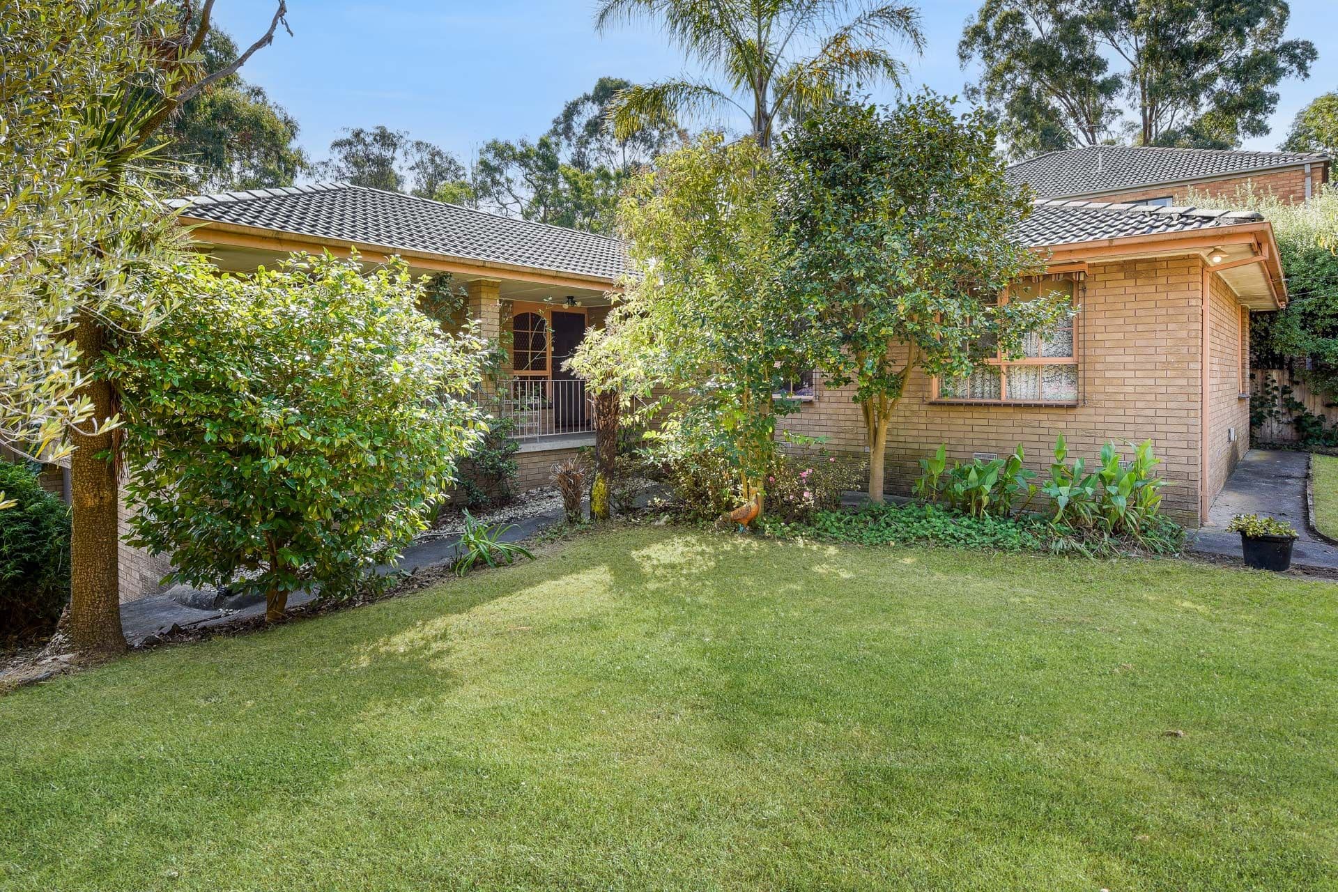 16 Bardia Street, Ringwood VIC 3134, Ringwood - Thumbnail 4
