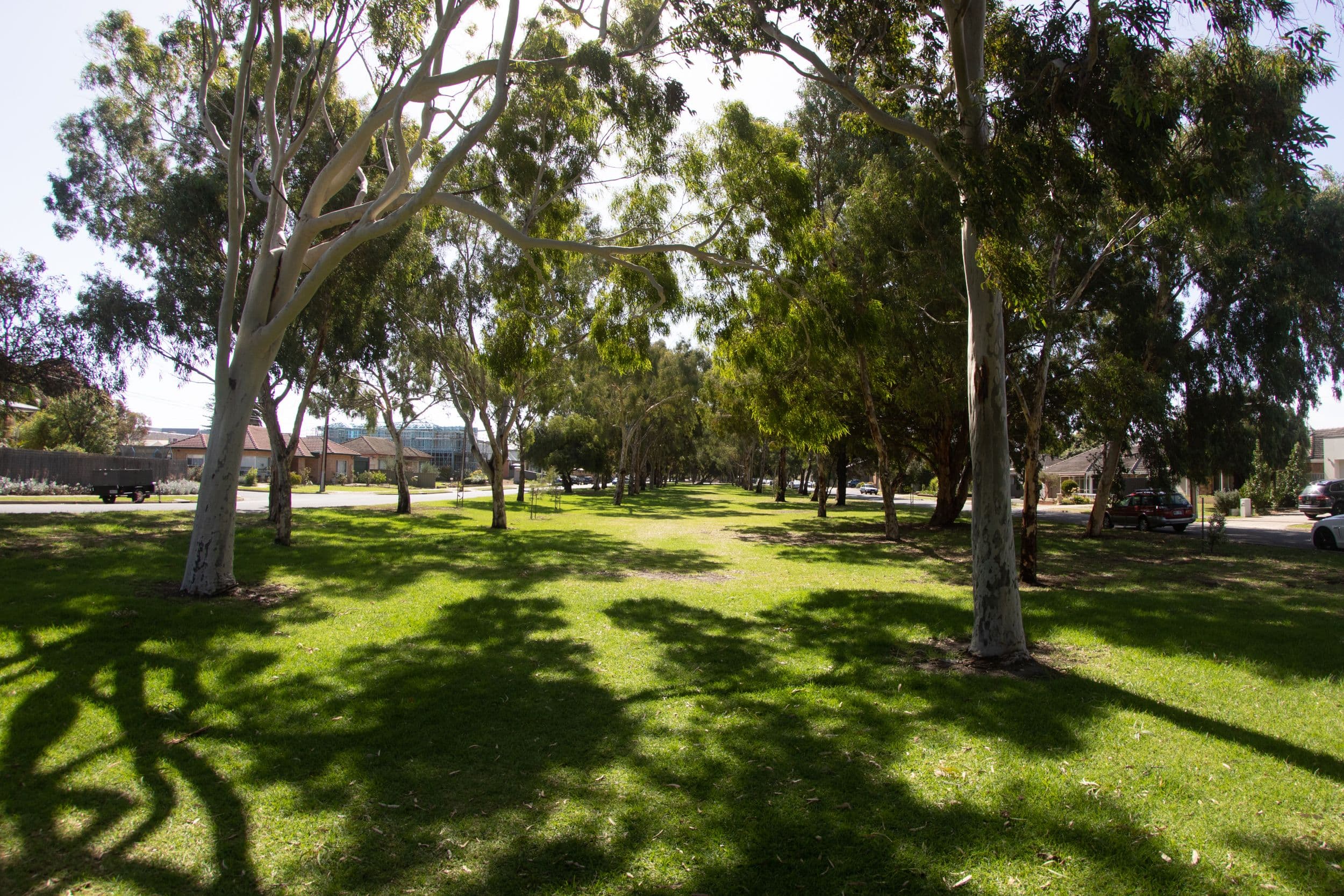 11 Harrison Street, Henley Beach SA 5022, Henley Beach - Image 1