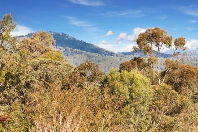 6-8 Parma Court, MOUNT NATHAN QLD 4211, Mount Nathan - Thumbnail 6