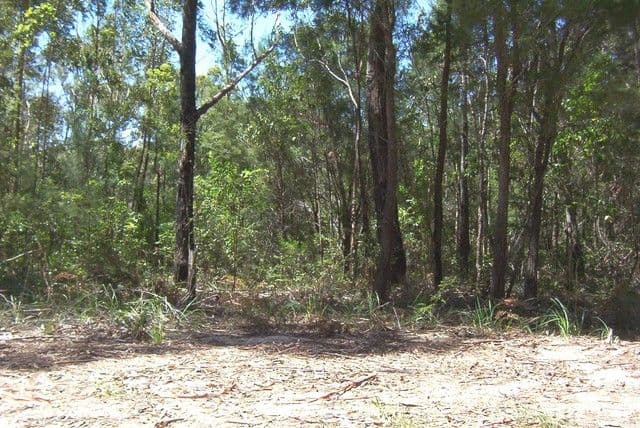 21 Sapphire Street, RUSSELL ISLAND QLD 4184, Russell Island - Image 1