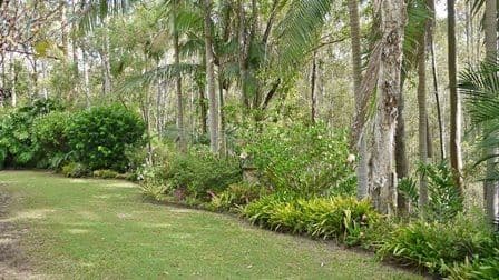 5 Woodlands Court, MOOLOOLAH VALLEY QLD 4553, Mooloolah Valley - Thumbnail 2