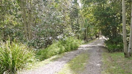 5 Woodlands Court, MOOLOOLAH VALLEY QLD 4553, Mooloolah Valley - Thumbnail 8