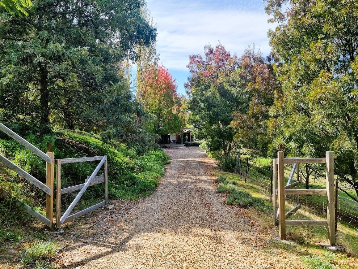 88 Eagle Street, Gundagai NSW 2722, South Gundagai - Thumbnail 3