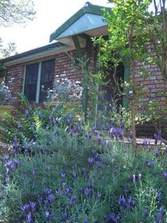 43 Wakehurst Parkway, SEAFORTH NSW 2092, Seaforth - Thumbnail 5