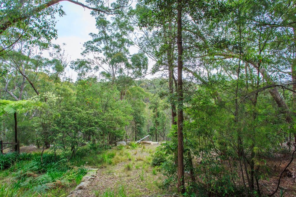 80a Manor Road, Hornsby NSW 2077, Hornsby - Thumbnail 3