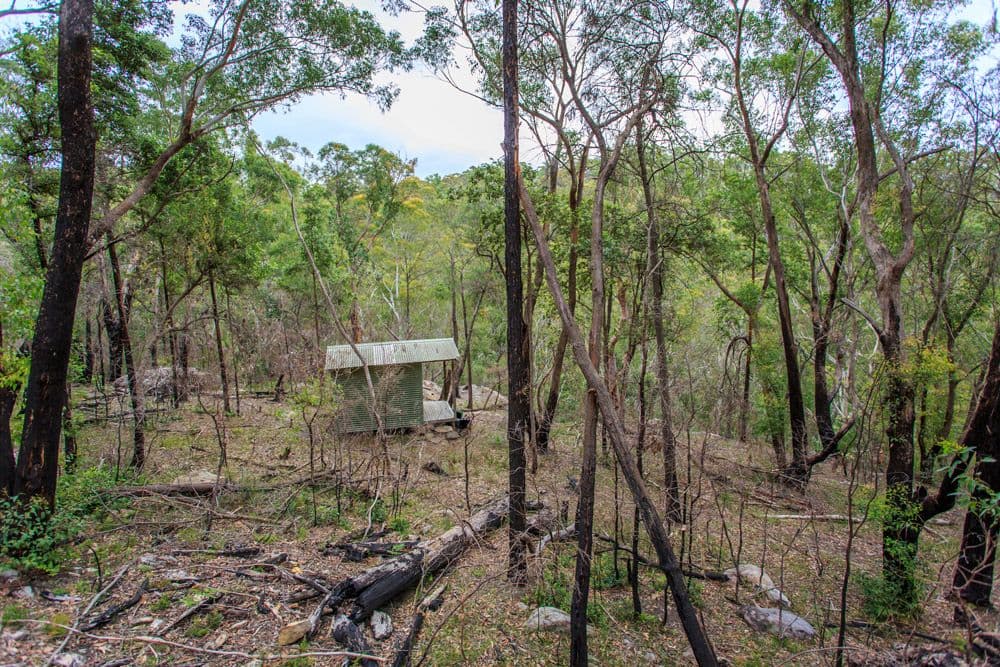 80a Manor Road, Hornsby NSW 2077, Hornsby - Thumbnail 4