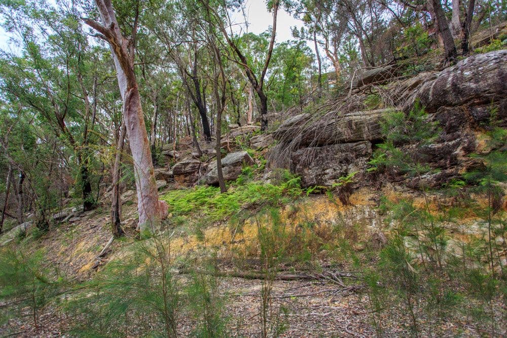 80a Manor Road, Hornsby NSW 2077, Hornsby - Thumbnail 6