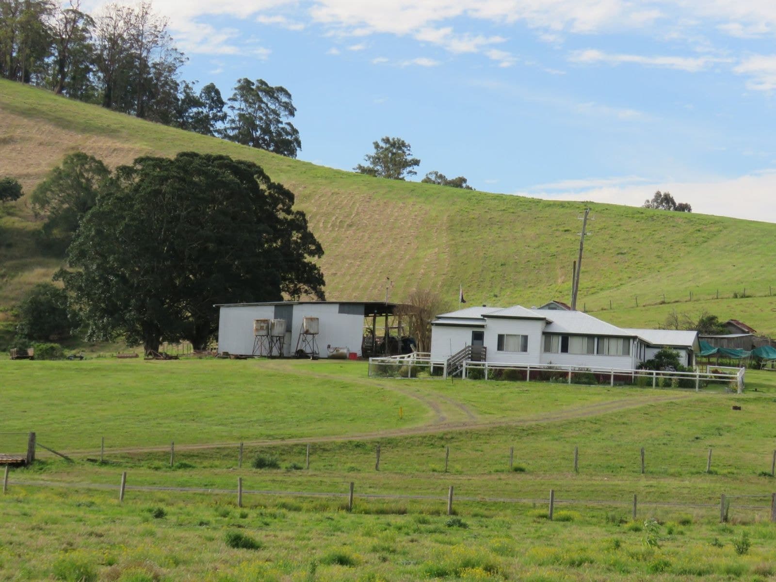 317 Grady's Creek Road, The Risk, NSW 2474, The Risk - Thumbnail 4