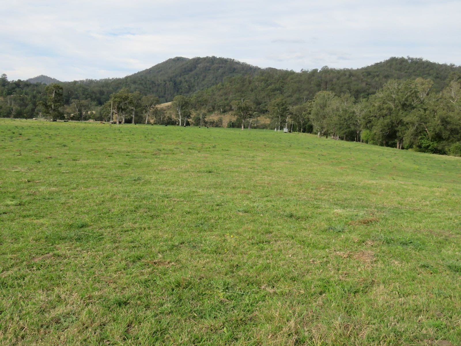 317 Grady's Creek Road, The Risk, NSW 2474, The Risk - Thumbnail 6