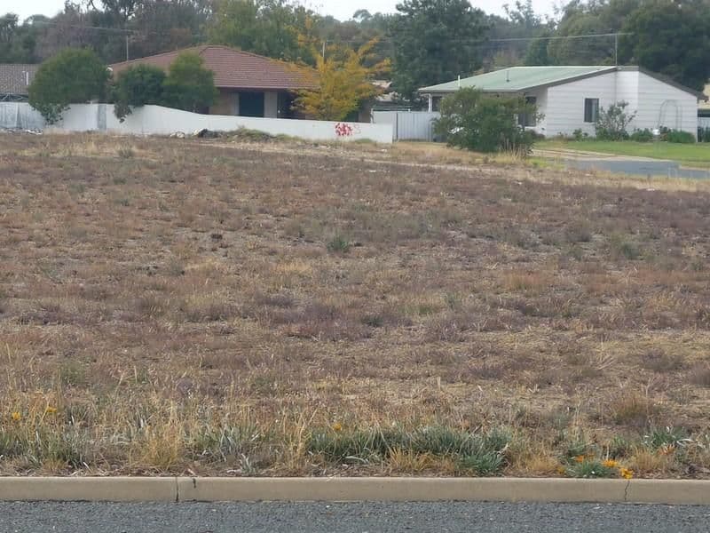 523 Henry Street, DENILIQUIN NSW 2710, Deniliquin - Thumbnail 2