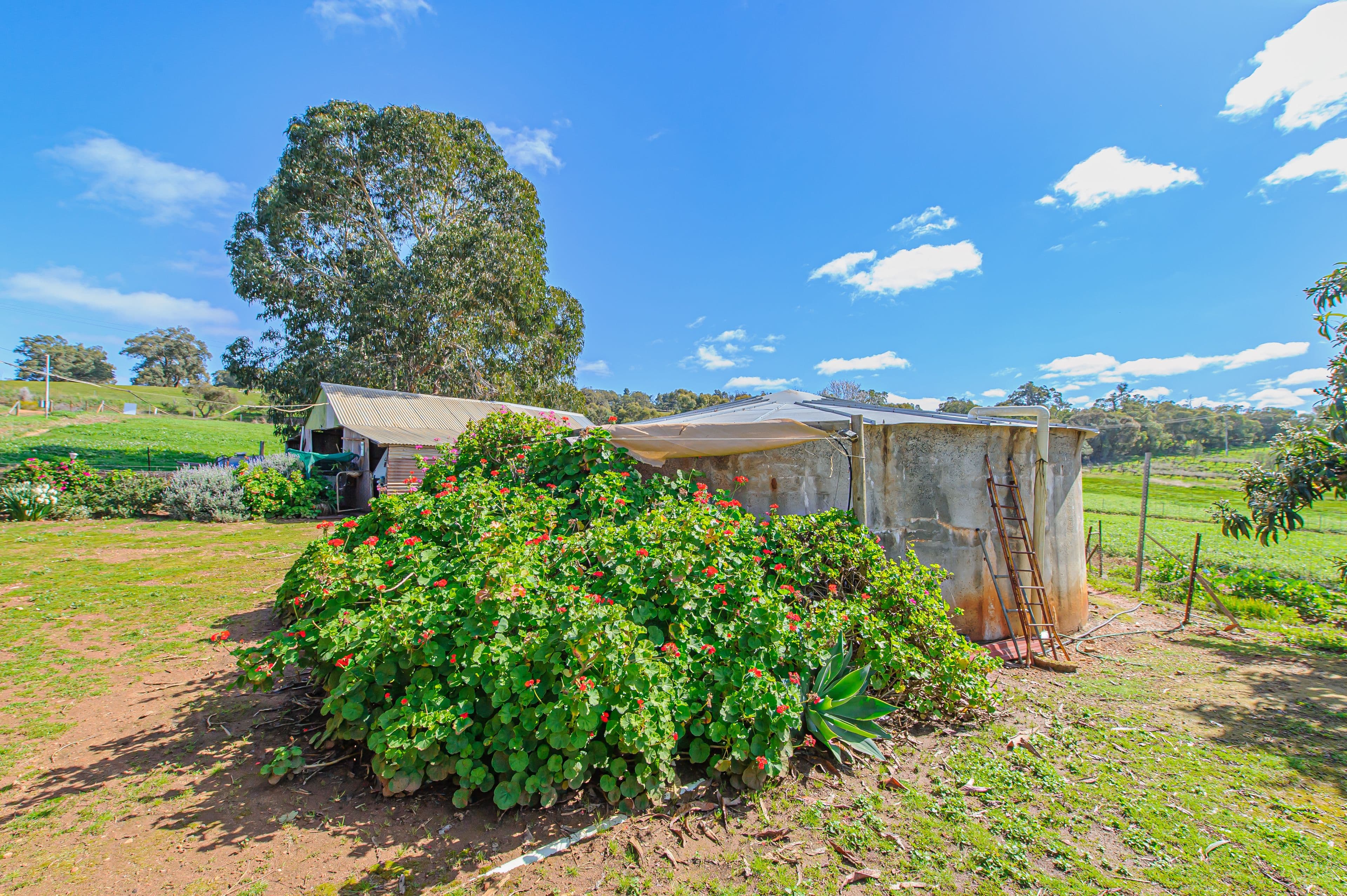 644 Bindoon-Moora Road, Mooliabeenee WA 6504, Mooliabeenee - Thumbnail 5