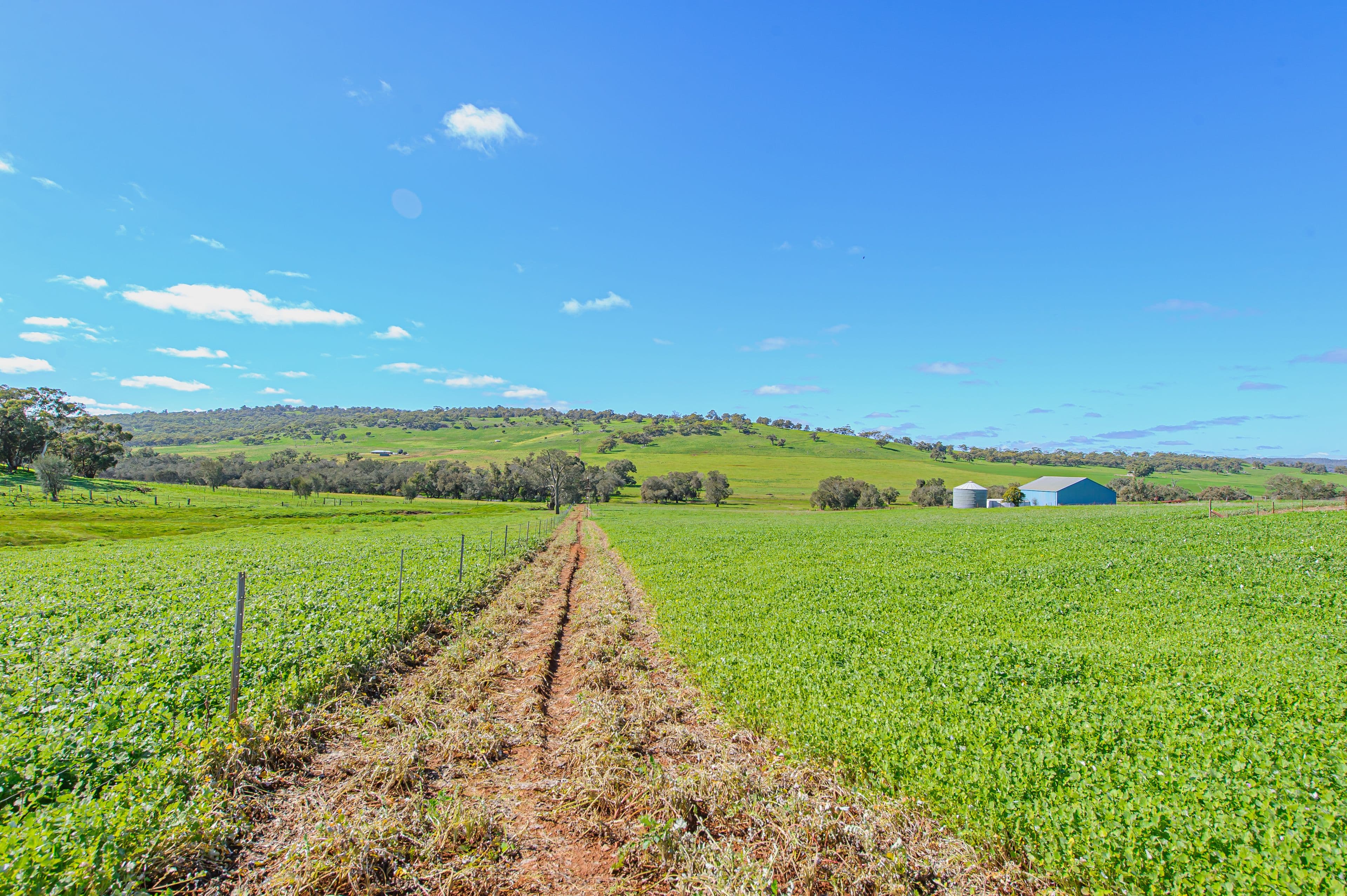 644 Bindoon-Moora Road, Mooliabeenee WA 6504, Mooliabeenee - Thumbnail 6