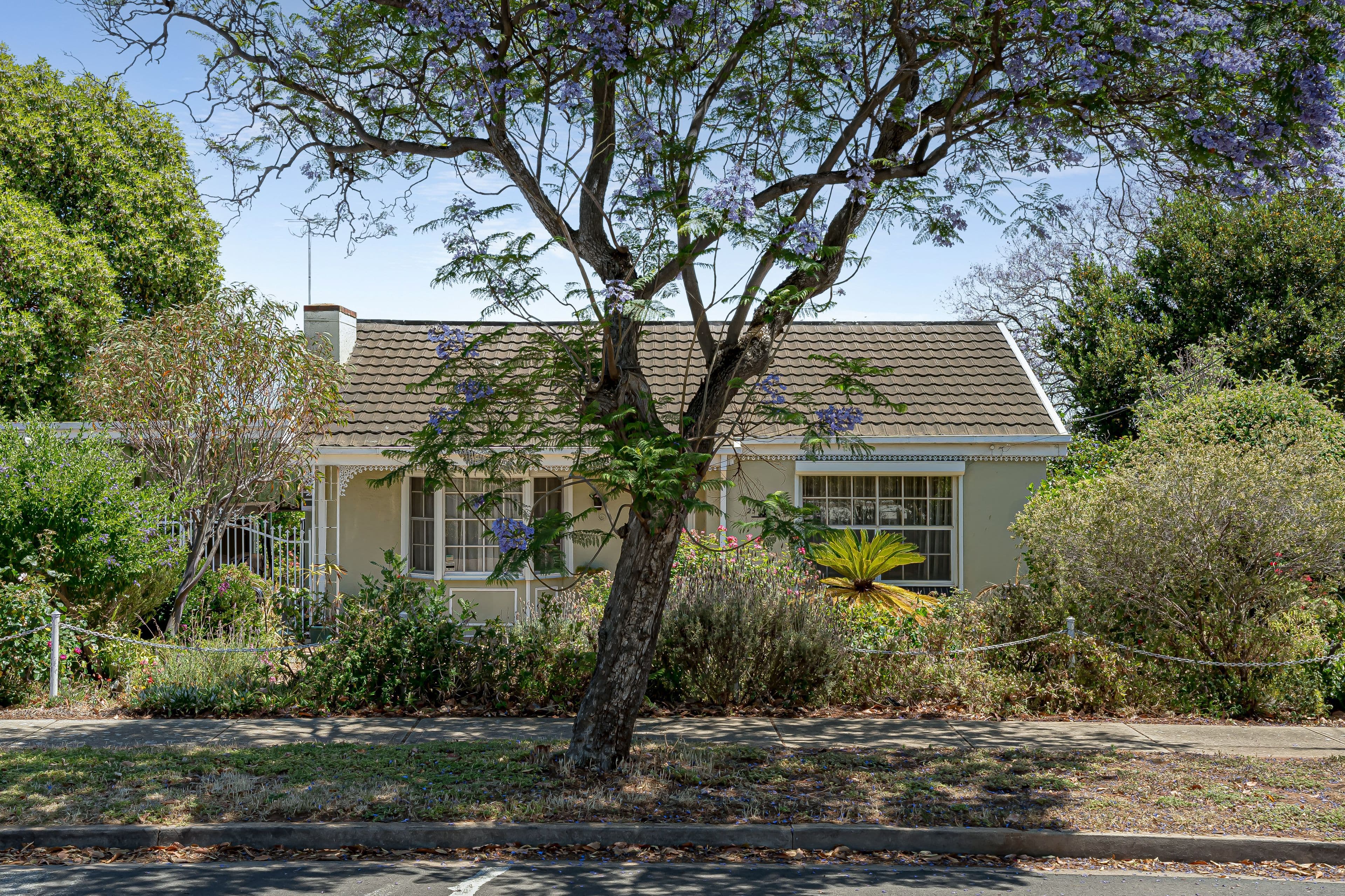25 Jackson Terrace, Enfield SA 5085, Enfield - Thumbnail 2