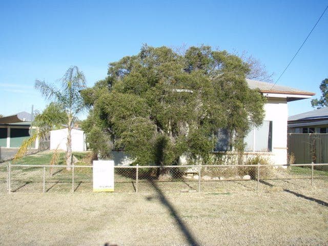 16 River Street, CHARLEVILLE QLD 4470, Charleville - Thumbnail 2