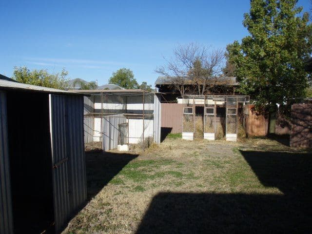 16 River Street, CHARLEVILLE QLD 4470, Charleville - Thumbnail 5