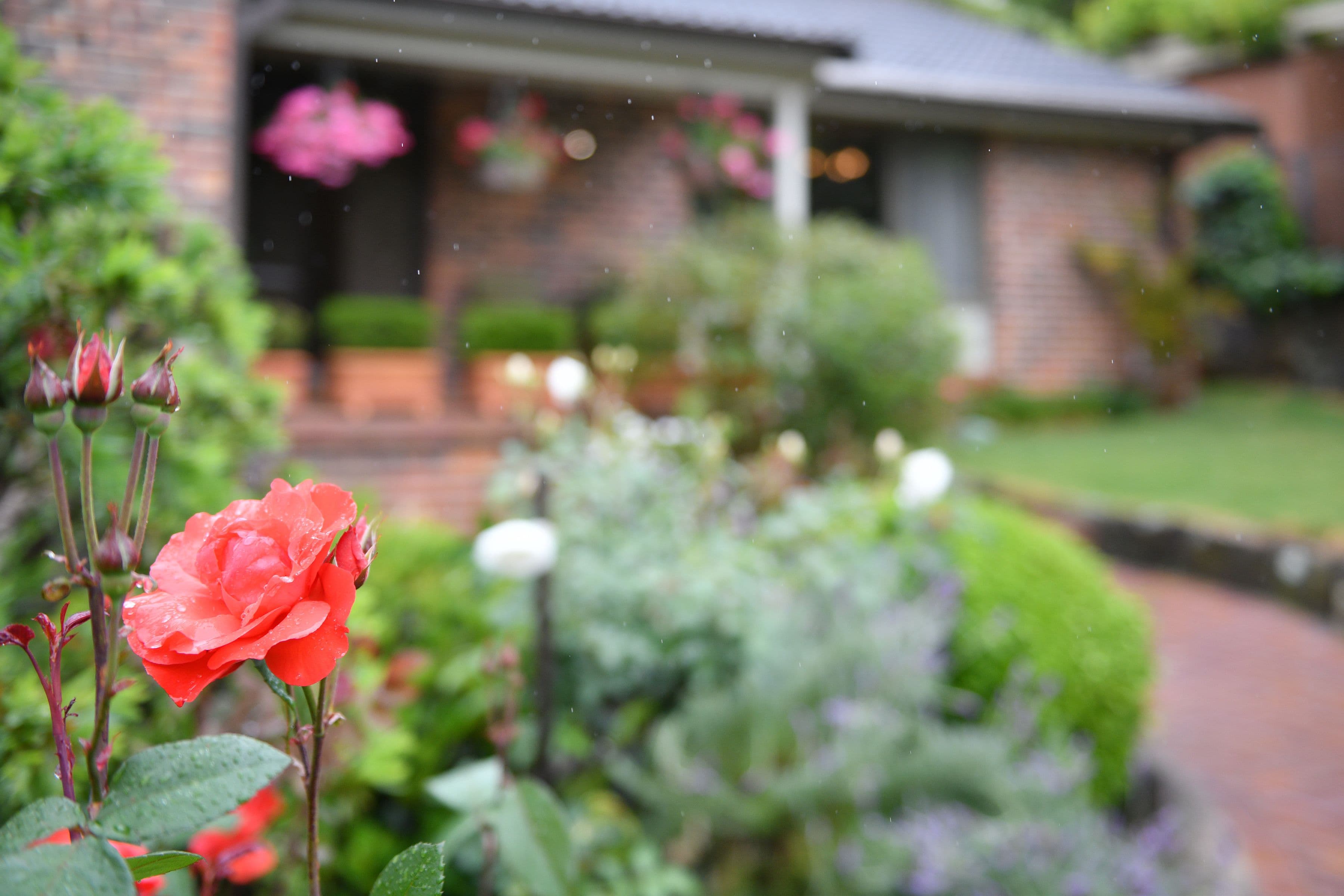 23 Duneba Drive, Westleigh NSW 2120, Westleigh - Thumbnail 2