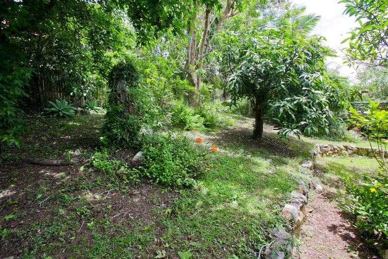 147 Arnold Street, HOLLAND PARK QLD 4121, Holland Park - Thumbnail 8