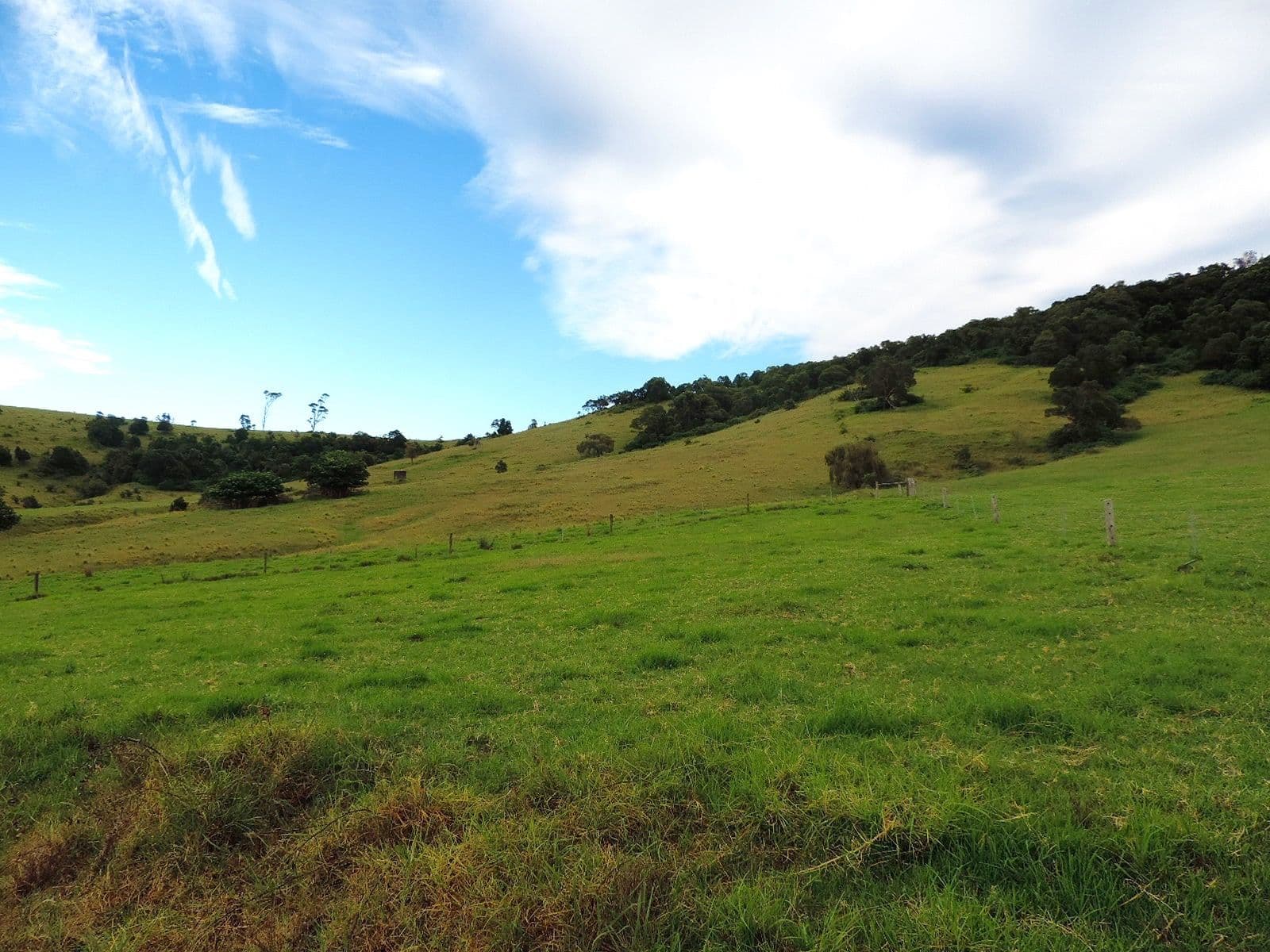Lot 4 Toolijooa Road, Toolijooa NSW 2534, Toolijooa - Image 1