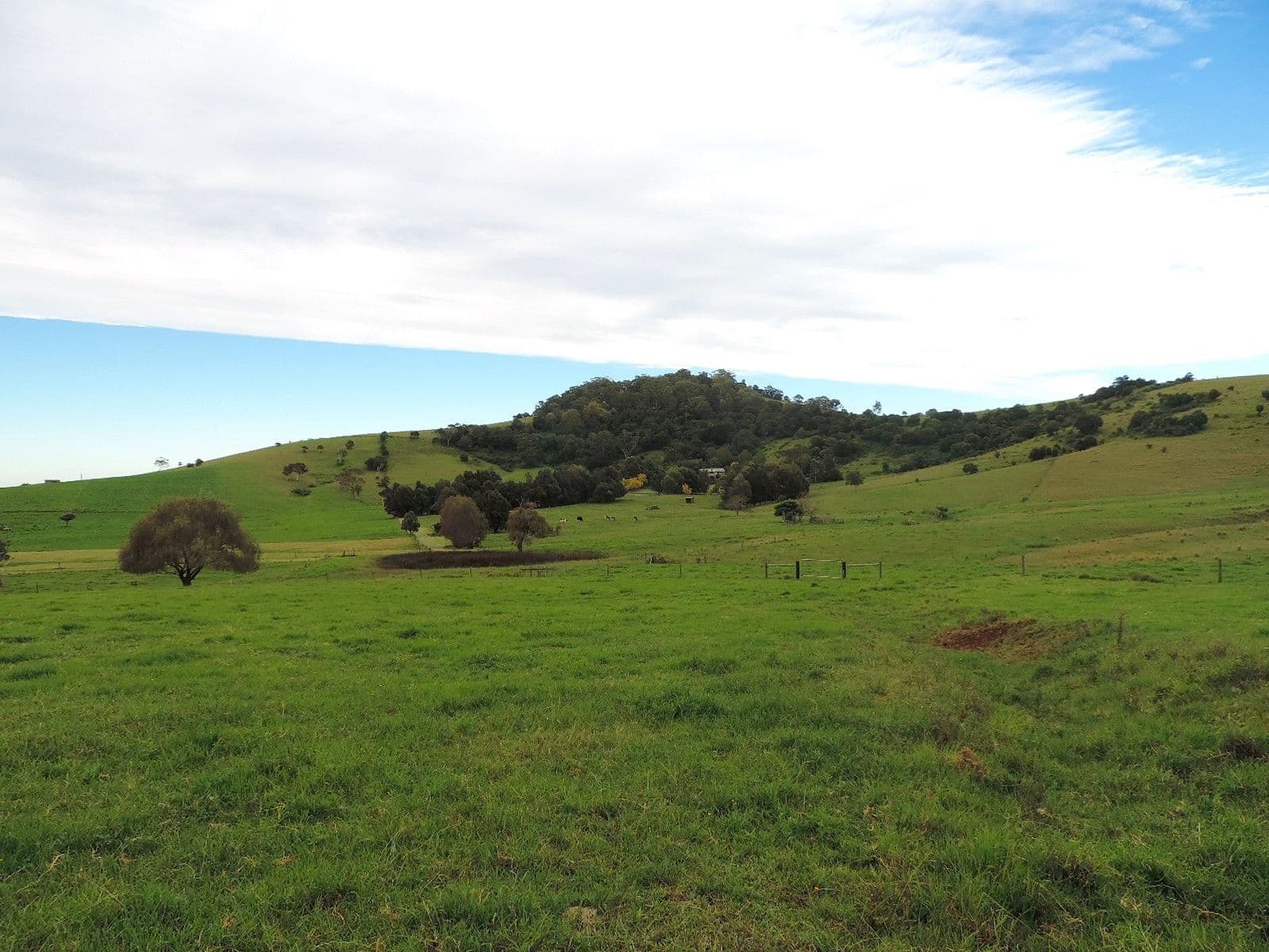 Lot 4 Toolijooa Road, Toolijooa NSW 2534, Toolijooa - Thumbnail 2