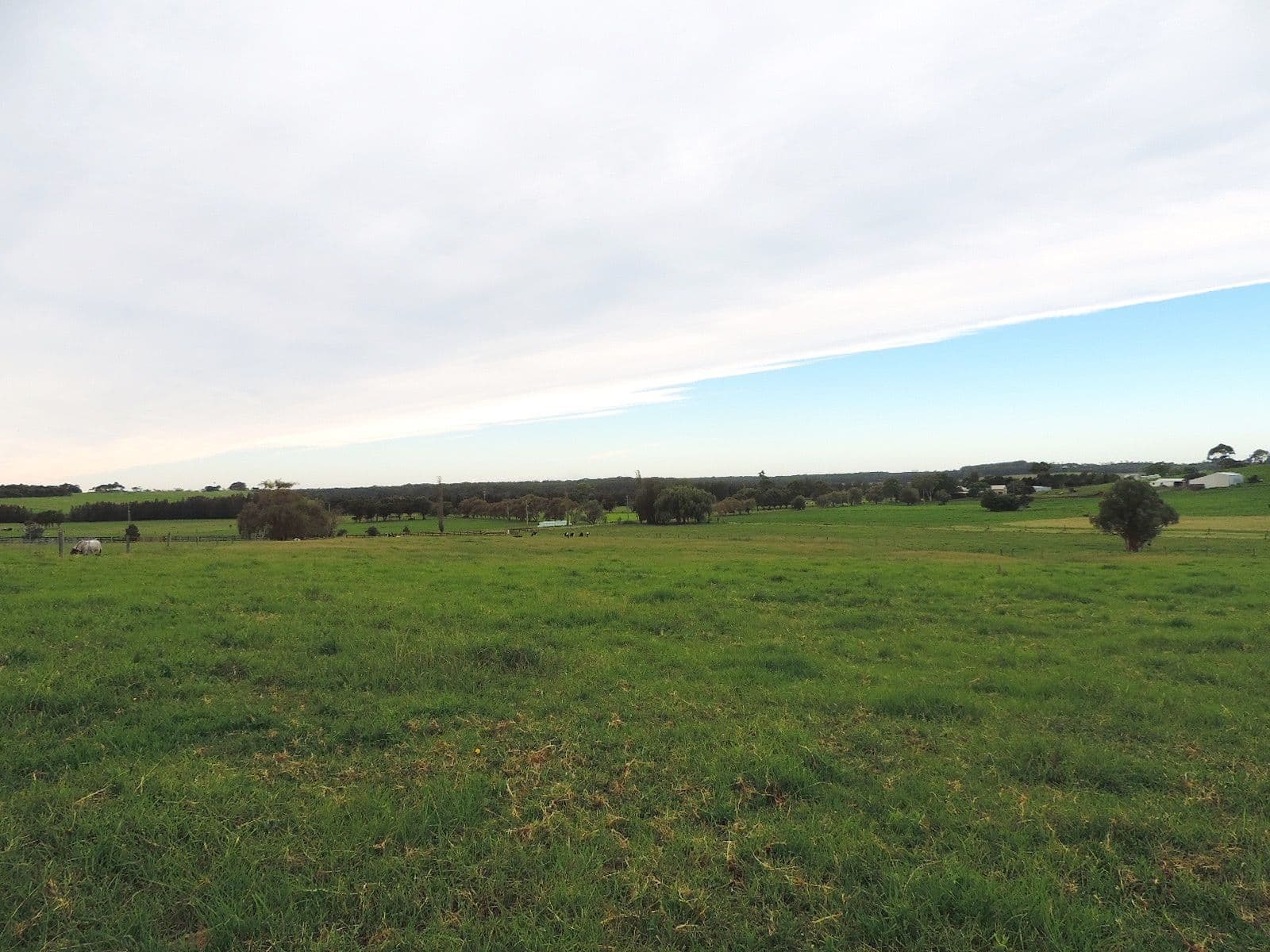 Lot 4 Toolijooa Road, Toolijooa NSW 2534, Toolijooa - Thumbnail 3