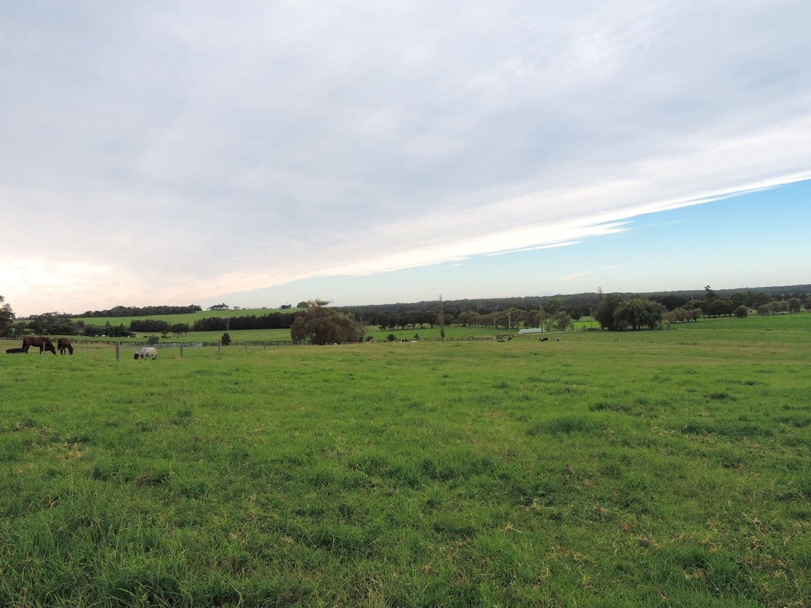 Lot 4 Toolijooa Road, Toolijooa NSW 2534, Toolijooa - Thumbnail 4