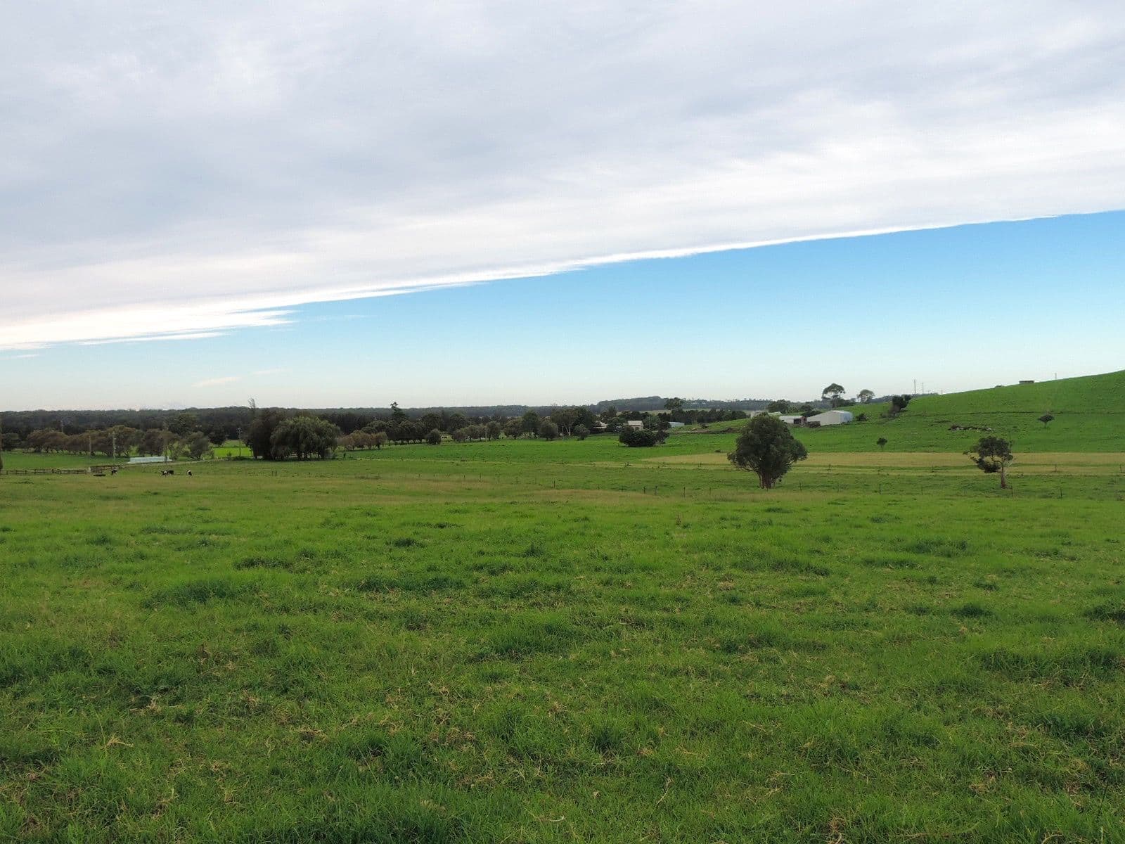 Lot 4 Toolijooa Road, Toolijooa NSW 2534, Toolijooa - Thumbnail 5