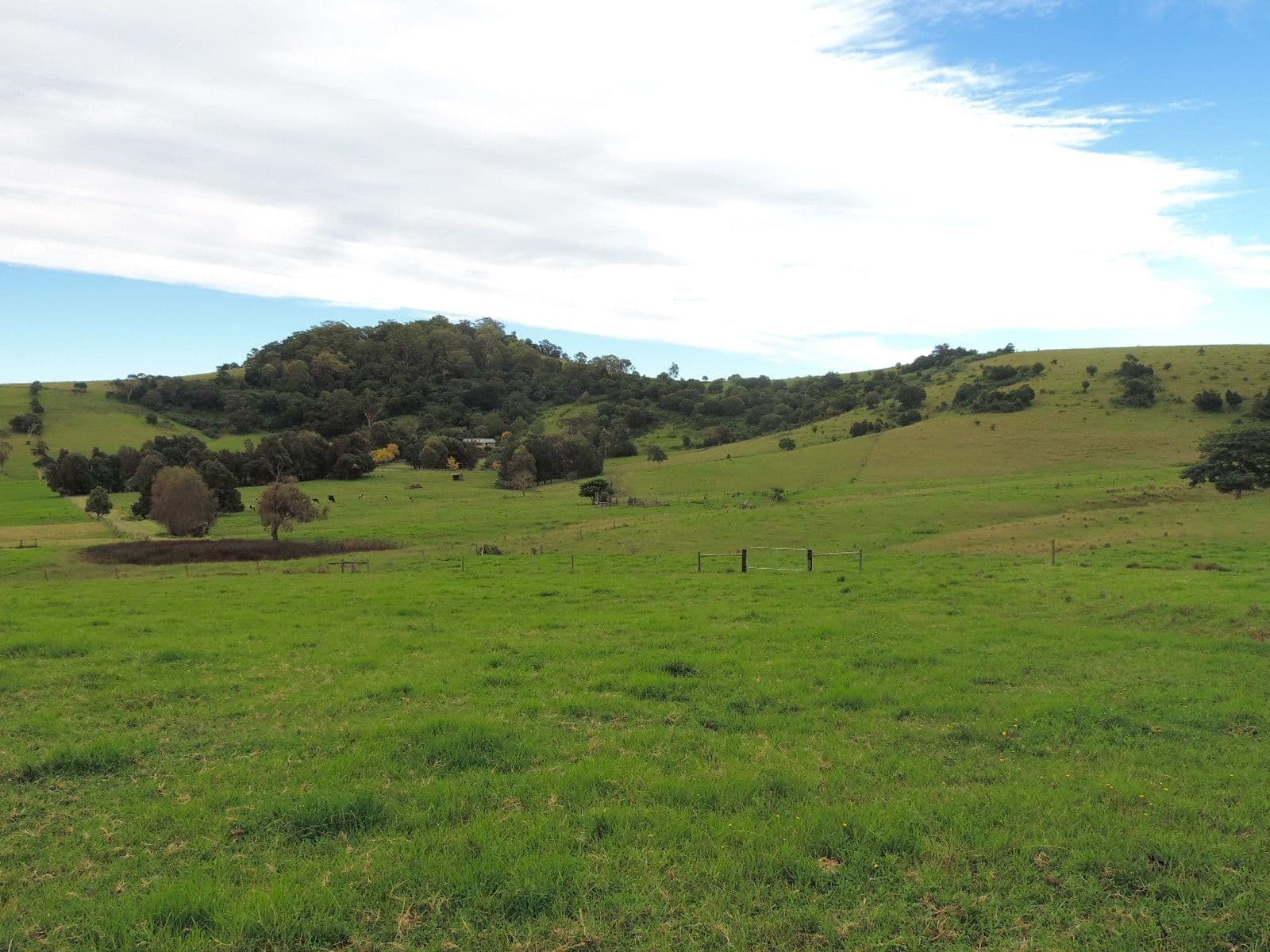 Lot 4 Toolijooa Road, Toolijooa NSW 2534, Toolijooa - Thumbnail 6