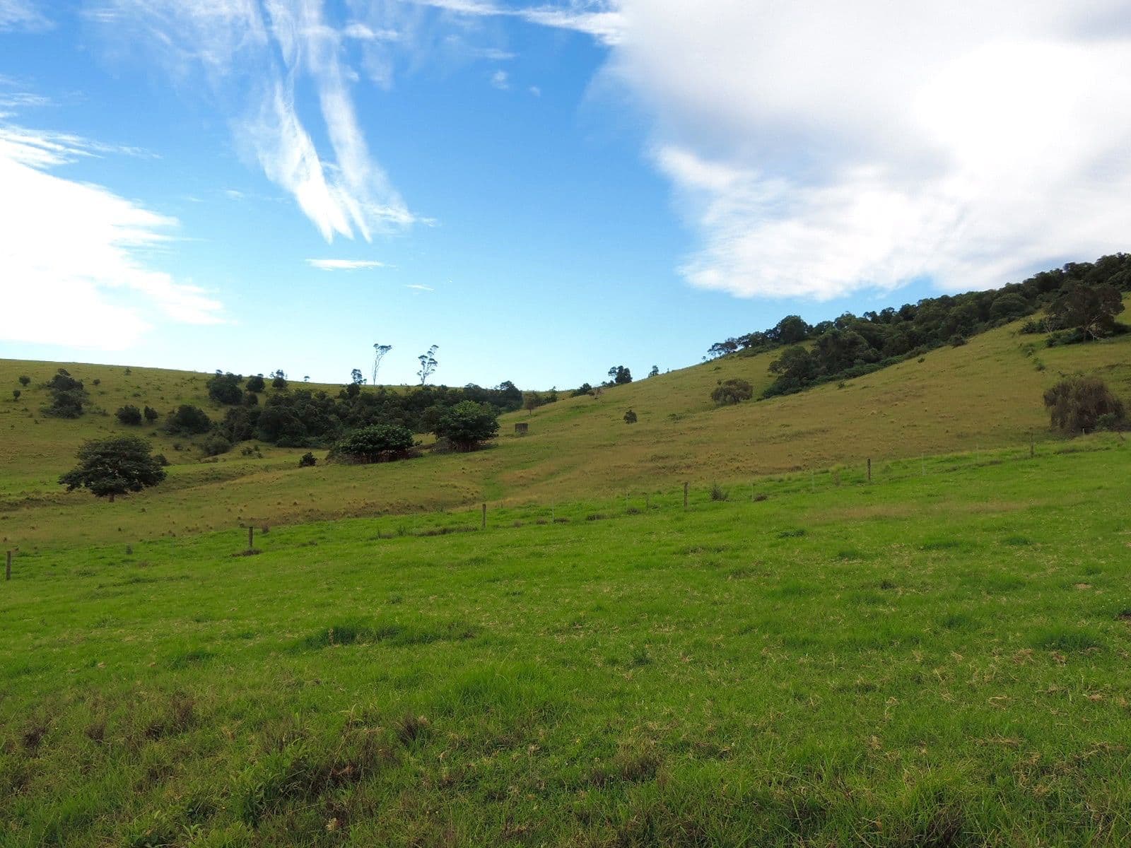 Lot 4 Toolijooa Road, Toolijooa NSW 2534, Toolijooa - Thumbnail 7