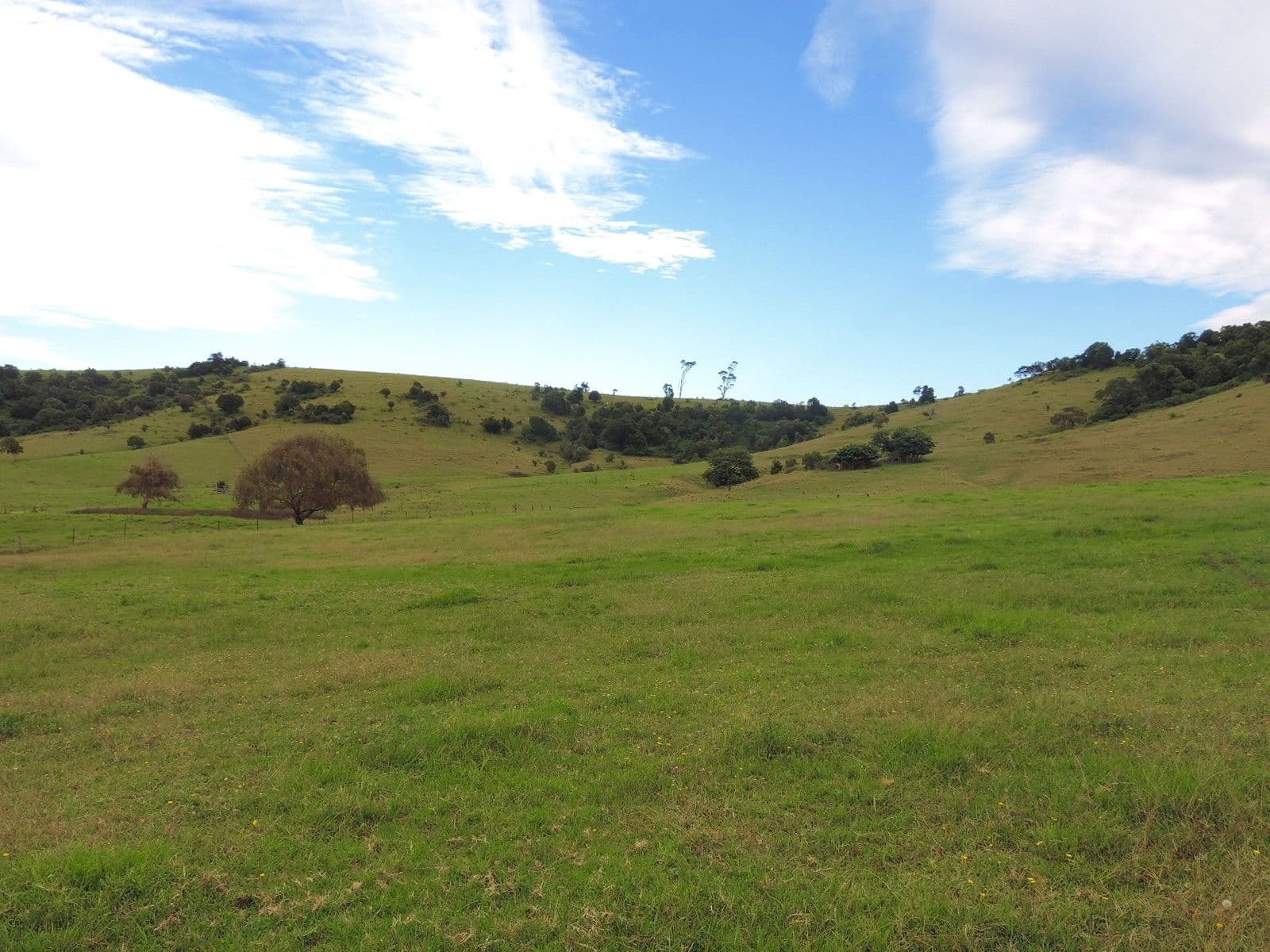 Lot 4 Toolijooa Road, Toolijooa NSW 2534, Toolijooa - Thumbnail 8
