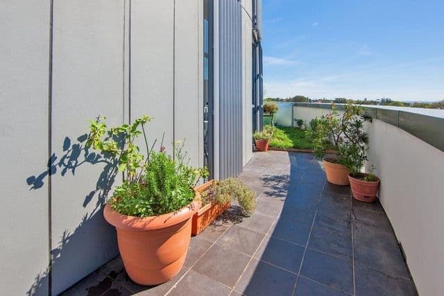 2 Pine Avenue, Little Bay NSW 2036, Little Bay - Thumbnail 7