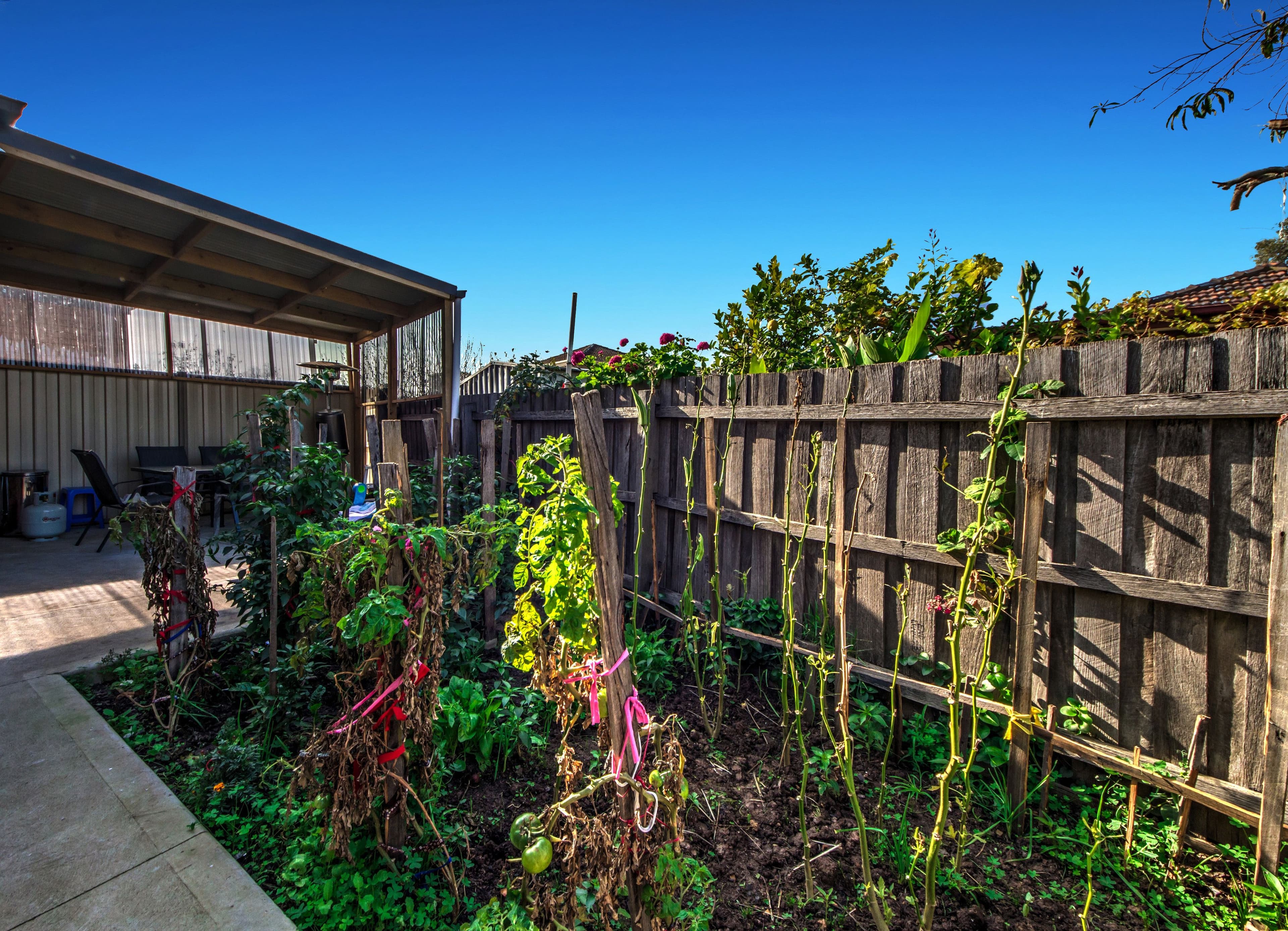 3 Occold Court, St Albans VIC 3021, St Albans - Thumbnail 6