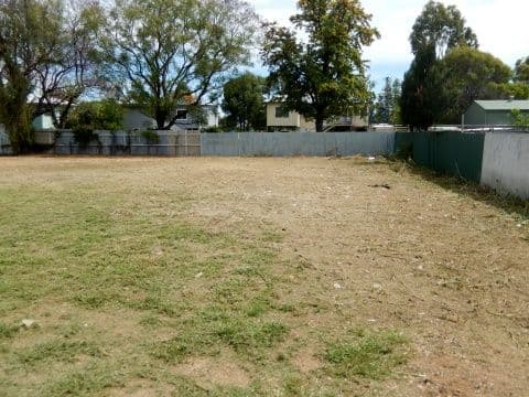 11 Olive Crescent, Moree NSW 2400, Moree - Thumbnail 4