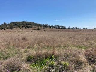0 Crimson Rosella Avenue, Meringandan West QLD 4352, Meringandan West - Thumbnail 6