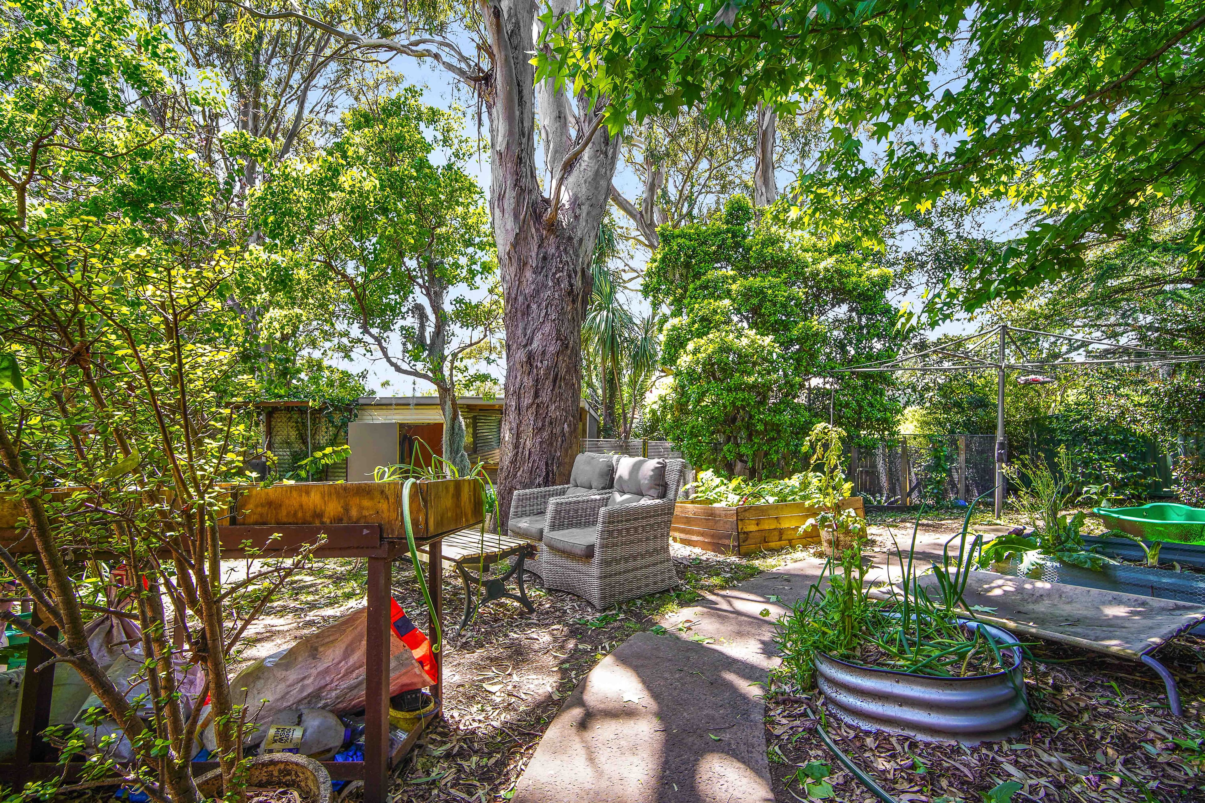 49 Mount Brown Road, Dapto NSW 2530, Dapto - Thumbnail 7